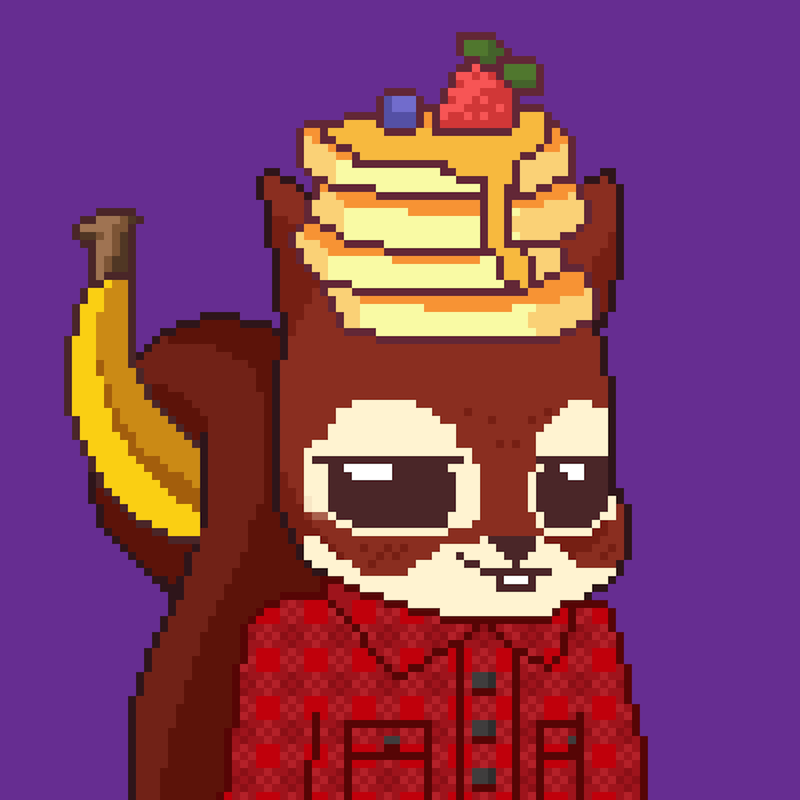 Pixel Squirrels #807